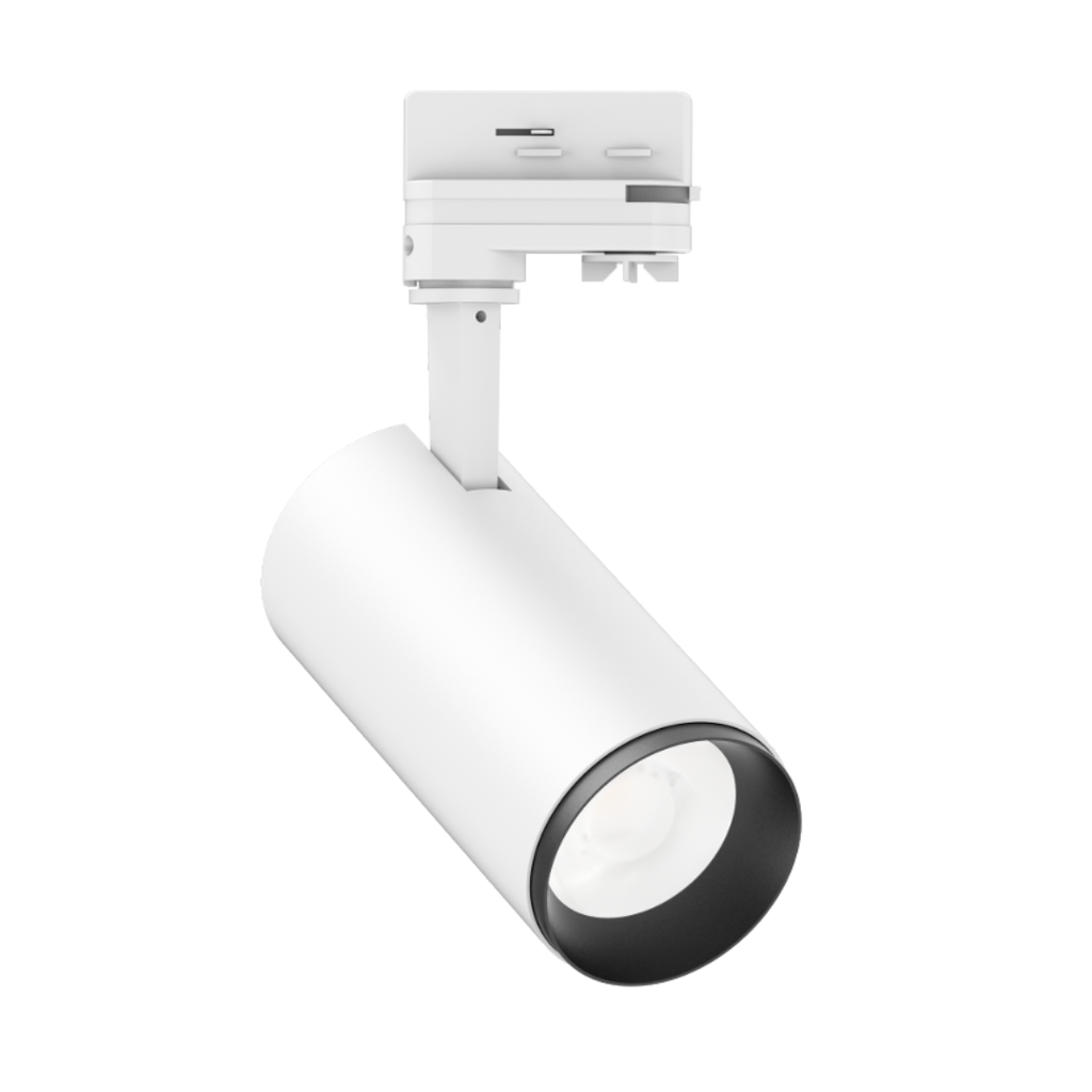 FOCUS RIEL