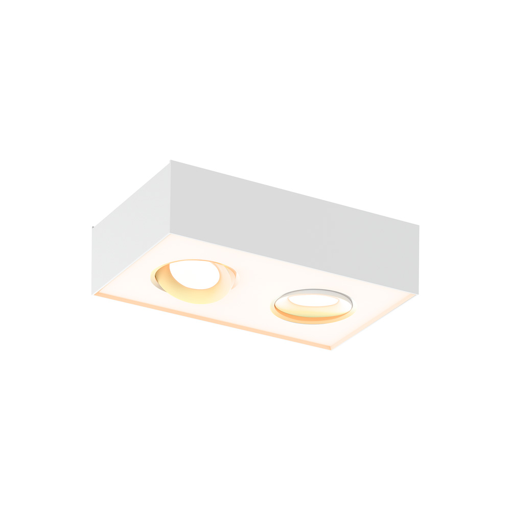 SPOT DE SOBREPONER EN TECHO DOS LUCES DIRECCIONABLES LED 16W LUZ CÁLIDA 3000K | ALNITAK II